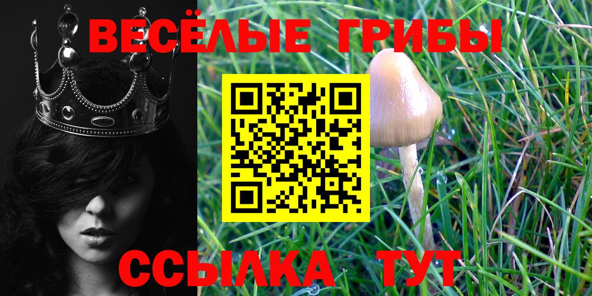 Галлюциногенные грибы Magic Shrooms Звенигород