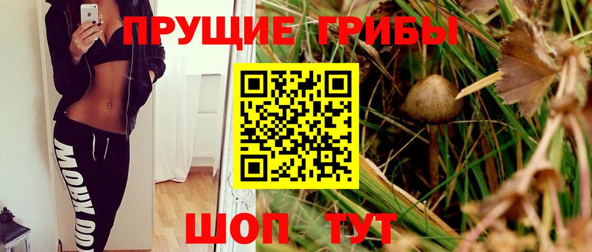 Галлюциногенные грибы Magic Shrooms  Вход с VPN  Галлюциногенные грибы Cubensis  Звенигород 